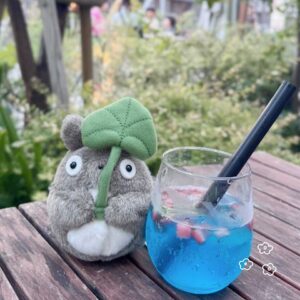 ハツネの写メ日記